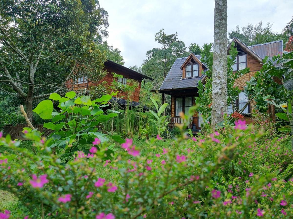 Canyon Jungle Stay บูกิตติงกี ภายนอก รูปภาพ