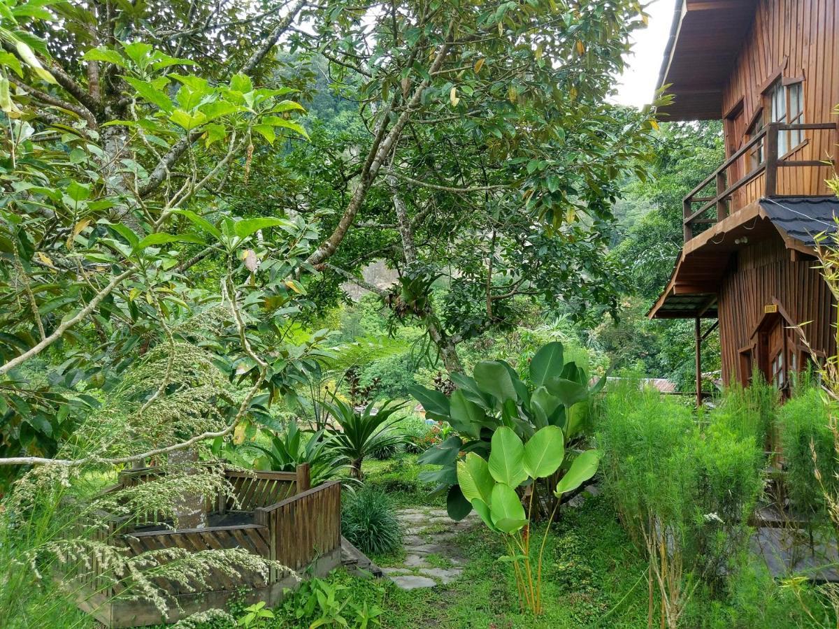 Canyon Jungle Stay บูกิตติงกี ภายนอก รูปภาพ