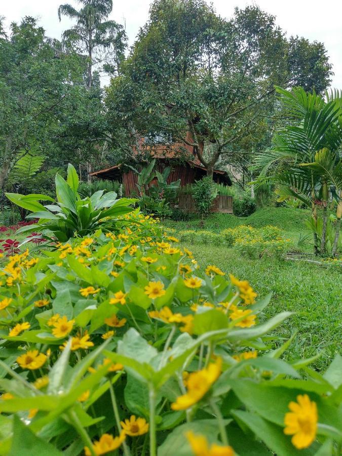 Canyon Jungle Stay บูกิตติงกี ภายนอก รูปภาพ