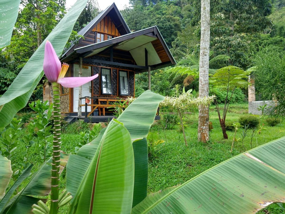 Canyon Jungle Stay บูกิตติงกี ภายนอก รูปภาพ