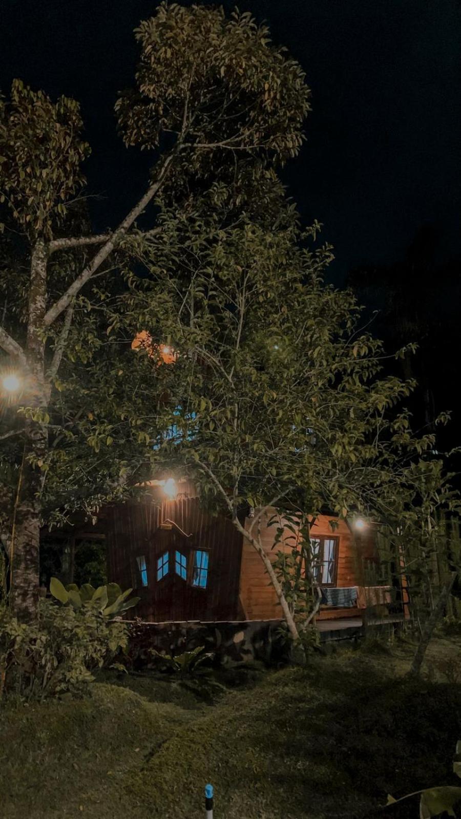 Canyon Jungle Stay บูกิตติงกี ห้อง รูปภาพ