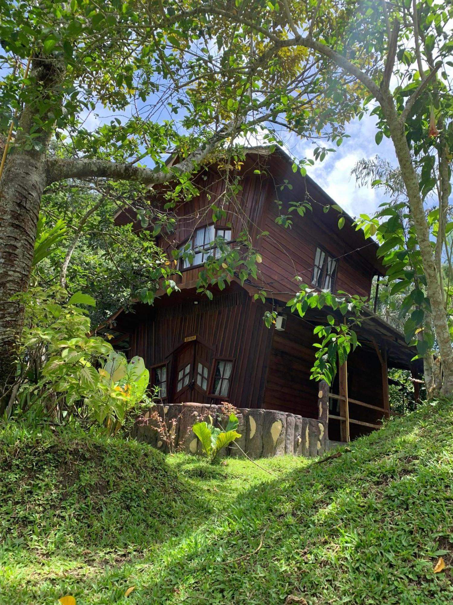 Canyon Jungle Stay บูกิตติงกี ภายนอก รูปภาพ