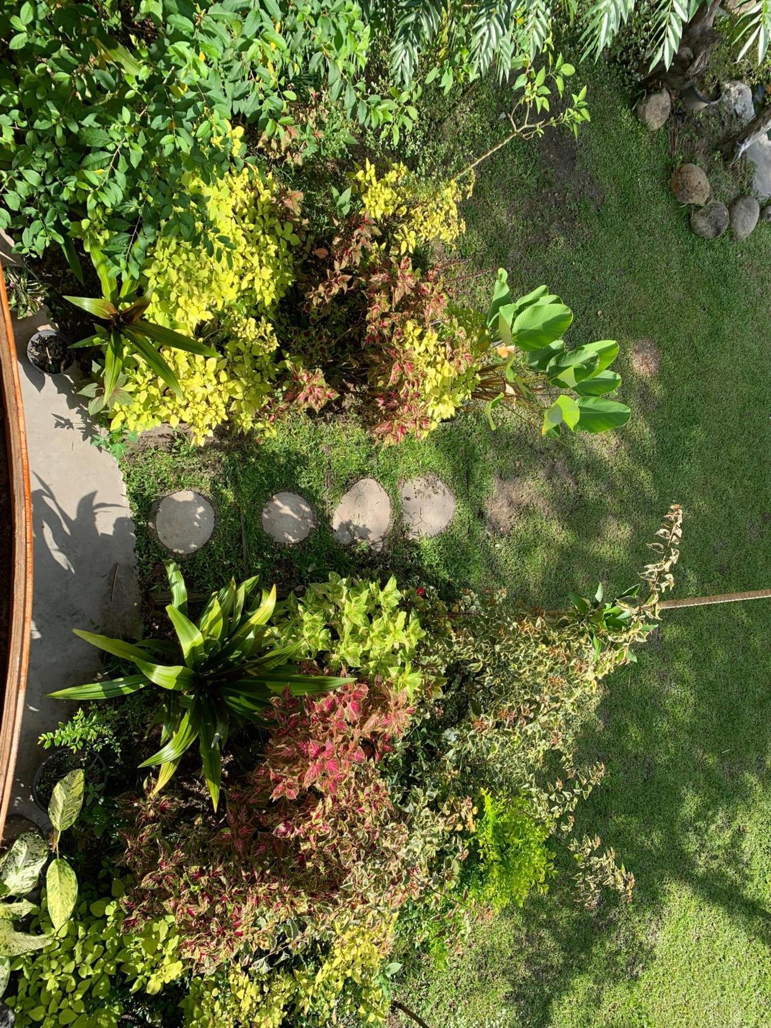 Canyon Jungle Stay บูกิตติงกี ภายนอก รูปภาพ
